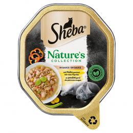 Sheba Nature´s Collection in Sauce 22 x 85 g - mit Huhn