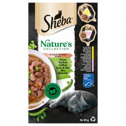 Sheba Nature's Collection in Sauce 32 x 85 g - Feine Vielfalt