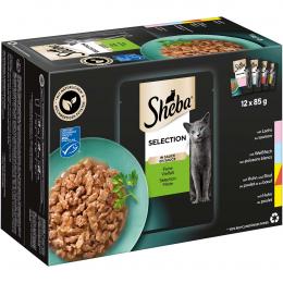 Sheba Selection in Sauce Feine Vielfalt 12x85g
