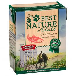 Sparpaket Best Nature Adult Cat 16 x 370 g - Lachs in Soße