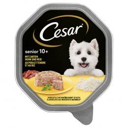 Sparpaket Cesar Senior 8+ Schale 28 x 150 g - mit Huhn und Reis