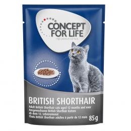 Sparpaket Concept for Life 48 x 85 g - British Shorthair Adult (Ragout-Qualität)