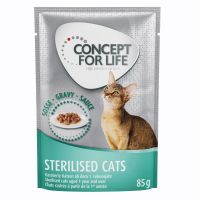 Angebot für Sparpaket Concept for Life 48 x 85 g -  Light Cats in Gelee          - Kategorie Katze / Katzenfutter nass / Concept for Life / Concept for Life Sparpakete.  Lieferzeit: 1-2 Tage -  jetzt kaufen.