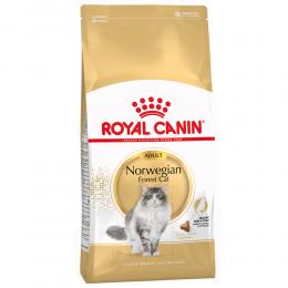 Sparpaket Royal Canin 2 x Großgebinde - Norwegische Waldkatze (2 x 10 kg)