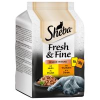 Sparpaket Sheba Fresh & Fine Frischebeutel 72 x 50 g - Huhn & Truthahn in Sauce