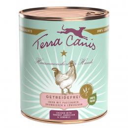 Sparpaket Terra Canis getreidefrei 12 x 800 g - Huhn mit Pastinaken, Löwenzahn und Brombeeren