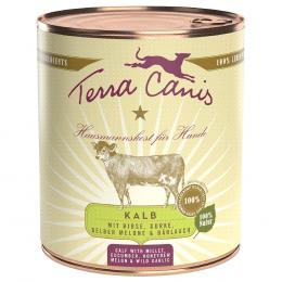 Terra Canis 6 x 800 g - Kalb mit Hirse, Gurke, gelber Melone und Bärlauch