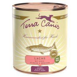 Terra Canis 6 x 800 g - Lachs mit Hirse, Pfirsich und Kräutern