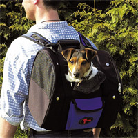 Trage-Rucksack