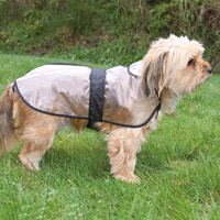 Transparente Hundejacke