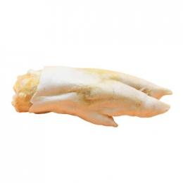Traveness Ganzer Schweinsfuß 10