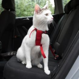 Trixie Auto-Geschirr für Katzen - rot