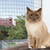 Trixie Katzenschutznetz mit Drahtverstärkung - 2 x 1,5 m