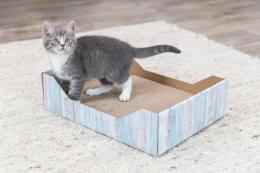 Trixie Kratzbaumbett In Box Mit Katzenminze Für Katzen 45X12X33 Cm
