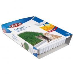 Trixie Softgras Weidelgras-Saat zum Selbstziehen - Sparpaket: 6 x 100 g