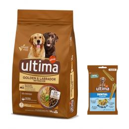 Ultima Trockenfutter + 180 g Dental Sticks Medium / Maxi gratis! - Golden & Labrador Retriever Huhn 14 kg