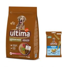 Ultima Trockenfutter + 180 g Dental Sticks Medium / Maxi gratis! - Medium / Maxi Adult Rind 3 kg