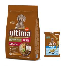 Ultima Trockenfutter + 180 g Dental Sticks Medium / Maxi gratis! - Medium / Maxi Senior Huhn 3kg