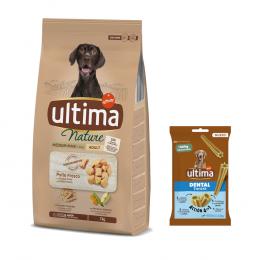 Ultima Trockenfutter + 180 g Dental Sticks Medium / Maxi gratis! - Nature Medium / Maxi Huhn 7 kg