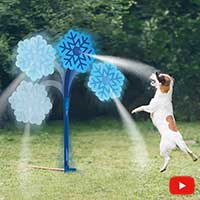 Wassersprüher 
