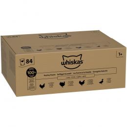 Angebot für Whiskas 1+ Adult Beutel 84 x 85 g - Geflügelgerichte in Gelee - Kategorie Katzenfutter & Zubehör / Katzenfutter nass / Whiskas / -.  Lieferzeit: 1-2 Tage -  jetzt kaufen.