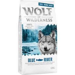 Wolf of Wilderness Adult 