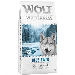Wolf of Wilderness Adult 