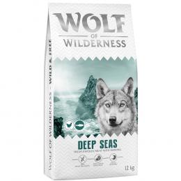 Wolf of Wilderness Adult 