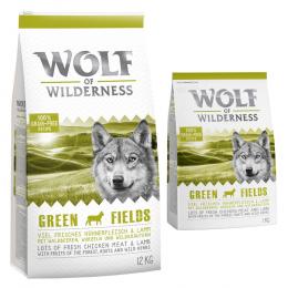 Wolf of Wilderness Adult 
