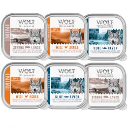 Wolf of Wilderness Adult - Mixpaket - Schale 6 x 150 g: Huhn, Fisch, Schwein