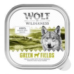 Wolf of Wilderness Adult - Single Meat 6 / 24 x 300 g Schale  - 24 x 300 g: Green Fields - Lamm