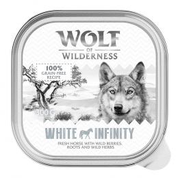 Wolf of Wilderness Adult - Single Meat 6 / 24 x 300 g Schale  - 24 x 300 g: White Infinity - Pferd