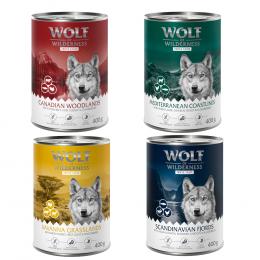 Wolf of Wilderness Adult - 