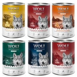 Wolf of Wilderness Adult - 