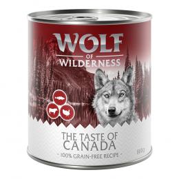 Wolf of Wilderness Adult - 