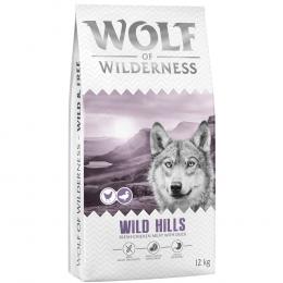 Wolf of Wilderness Adult 