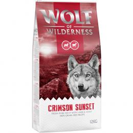 Angebot für Wolf of Wilderness 