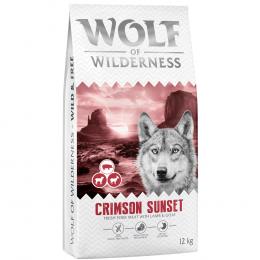 Wolf of Wilderness 