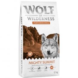 Wolf of Wilderness 