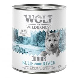 Wolf of Wilderness JUNIOR 6/24 x 800 g - 24 x 800 g Blue River - Huhn & Lachs