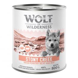 Wolf of Wilderness Junior 6 x 800 g - Mit viel frischem Geflügel  - Stony Creek - Geflügel mit Rind