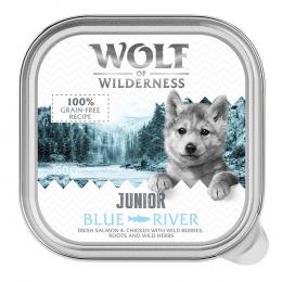 Angebot für Wolf of Wilderness JUNIOR - Duo-Protein Rezeptur 6 / 24 x 150 g Schale - 24 x 150 g Wild Hills - Ente & Kalb - Kategorie Hundefutter & Zubehör / Hundefutter nass / Wolf of Wilderness / Wolf of Wilderness JUNIOR.  Lieferzeit: 1-2 Tage -  jetzt kaufen.