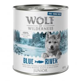 Wolf of Wilderness JUNIOR - Freiland-Huhn & Lachs - Sparpaket 12 x 800 g