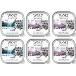 Wolf of Wilderness JUNIOR - Mixpaket - 6 x 150 g: 4x Ente & Kalb, 2x Huhn & Lachs