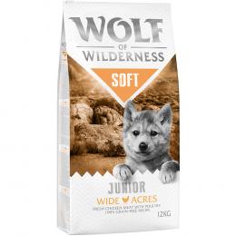 Angebot für Wolf of Wilderness Junior 