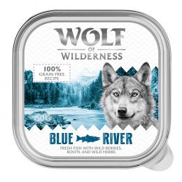 Wolf of Wilderness MINI Adult 6 x 150 g - Schale - Blue River - Fisch