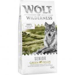 Wolf of Wilderness Senior 