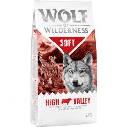 Wolf of Wilderness 