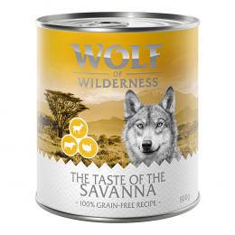 Wolf of Wilderness 